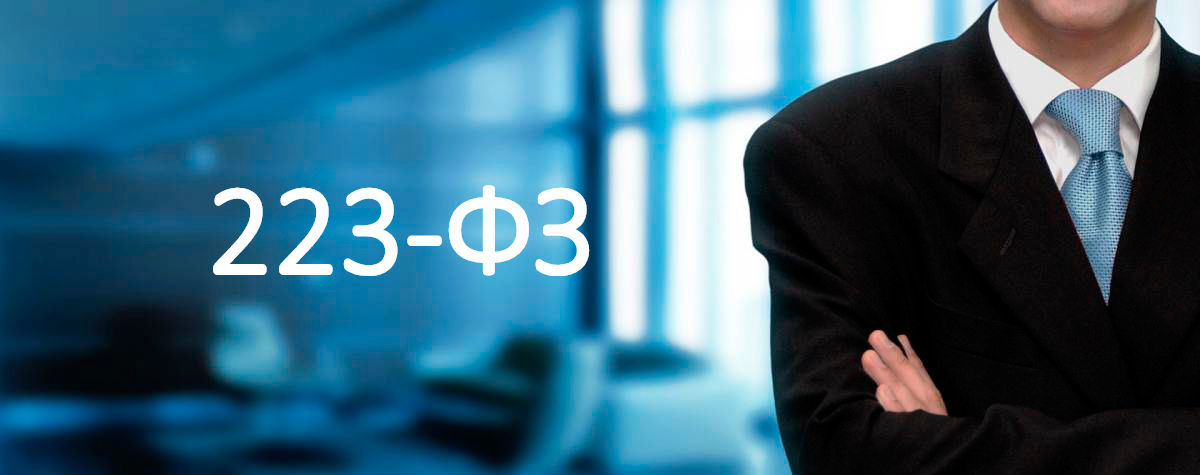 <span style="font-weight: bold;">БАНКОВСКАЯ ГАРАНТИЯ ПО 223-ФЗ</span>